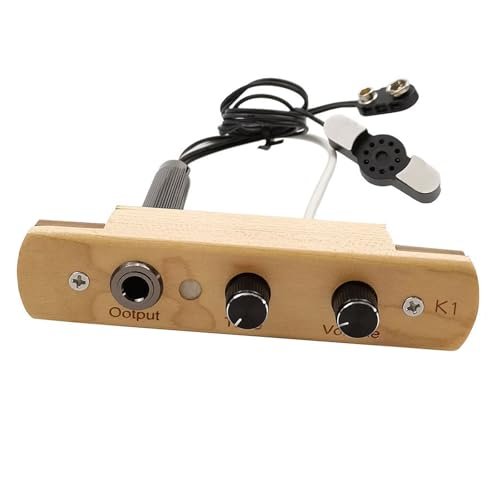 Best Cajon Mic