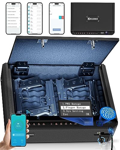 Best Biometric Safe