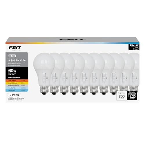 Best Bulb Companies