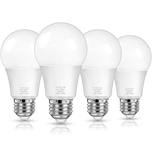Best Bulbs