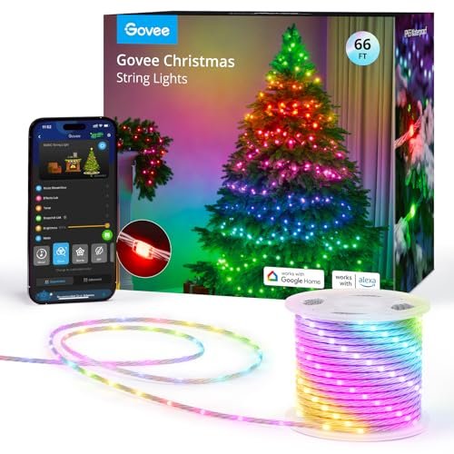 Best Christmas Lights