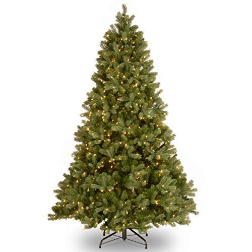 Best Christmas Tree