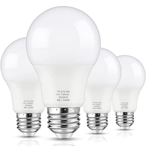 Best Daylight Bulbs