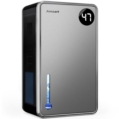 Best Dehumidifier Setting