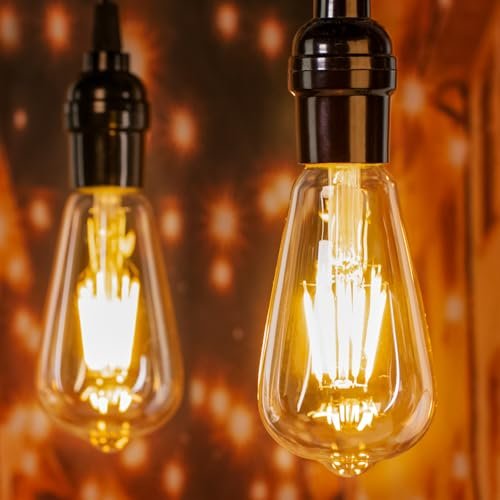 Best Edison Bulbs