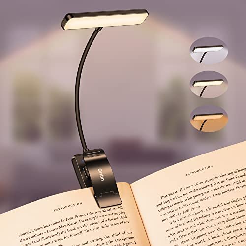 Best Light For