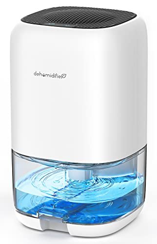 Best Mini Dehumidifier