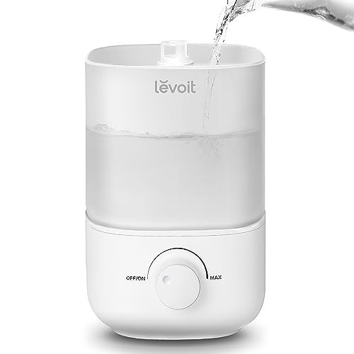 Best Personal Humidifiers