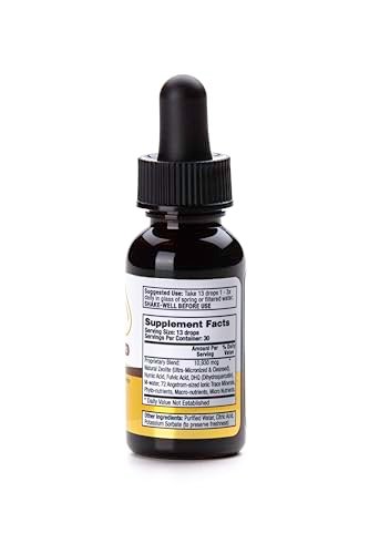 Best Zeolite Brands