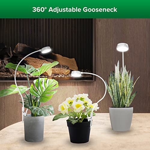 Best Pot Lights