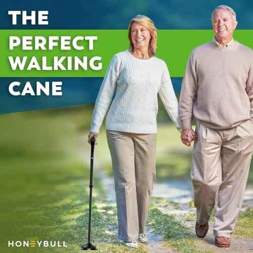 Best 3 Prong Walking Cane