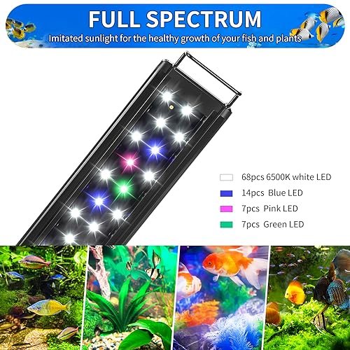 Best 48 Inch Aquarium Light