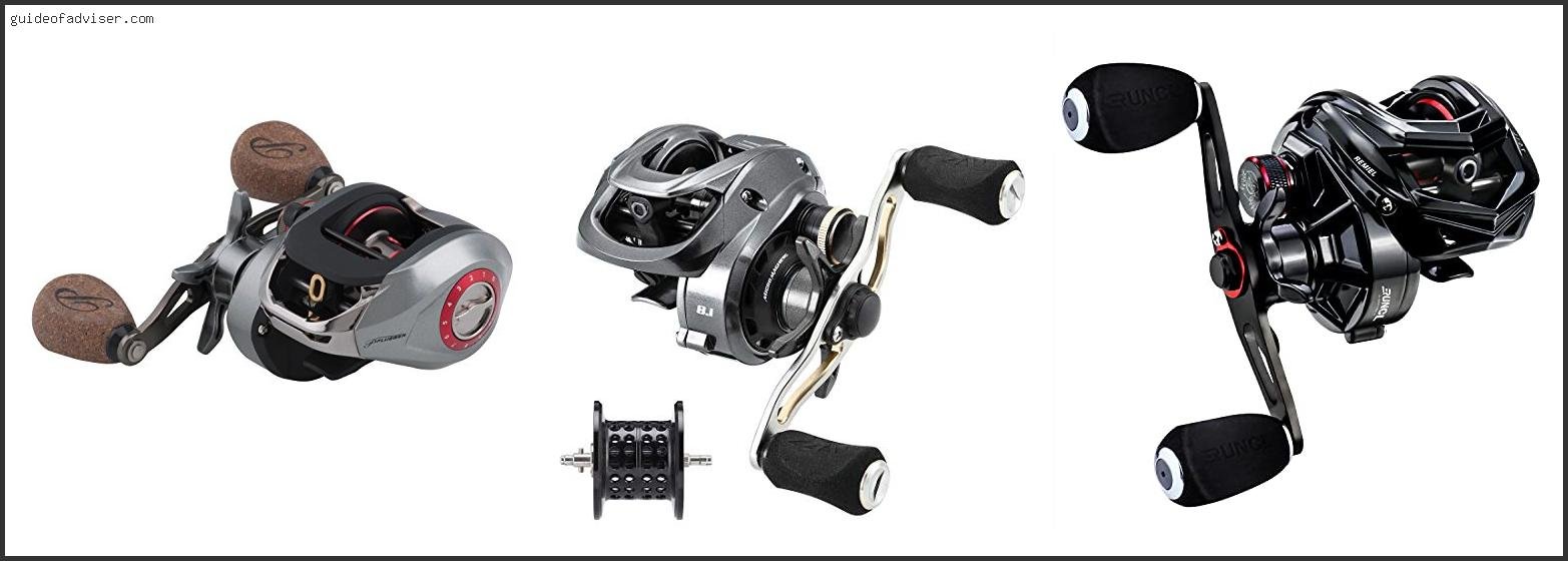 Best Bfs Baitcaster Reels