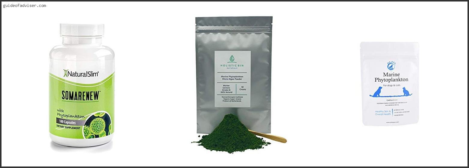 Best Marine Phytoplankton Supplement