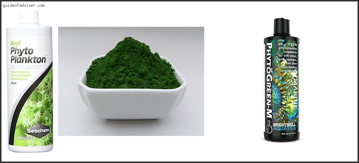 Top 10 Best Phytoplankton Of The Year
