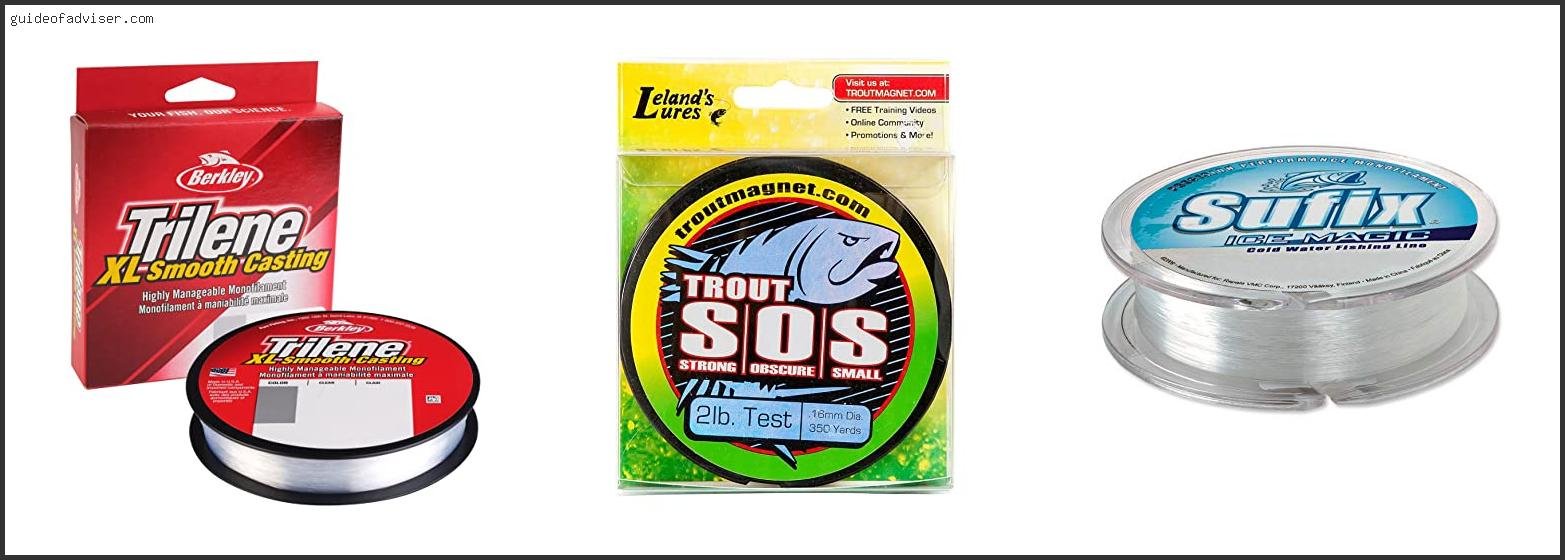 Top 10 Best 4 Lb Test Fishing Line Of The Year