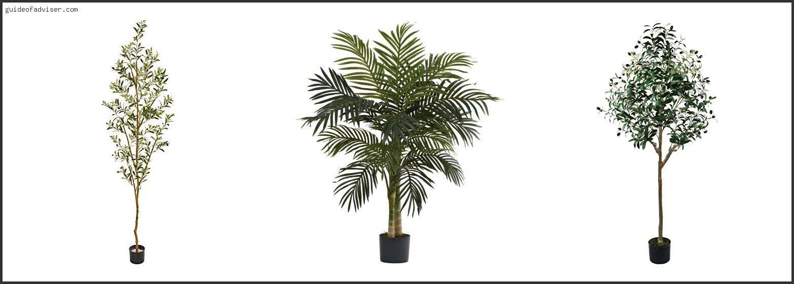 Top 10 Best Artificial Trees For Indoors Of The Year Best Artificial Trees For Indoors