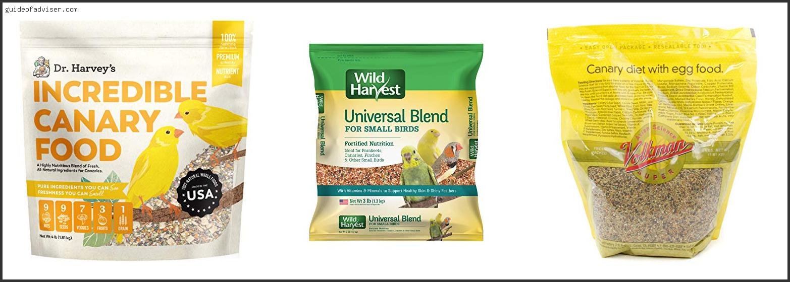 Top 10 Best Canary Food Of The Year