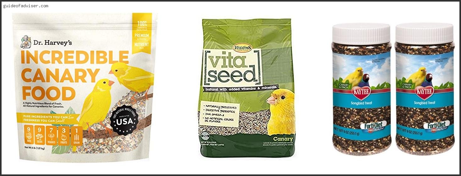 Best Canary Food Brand