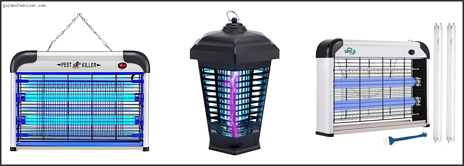 Top 10 Best Electronic Fly Trap Reviews & Guide 2025