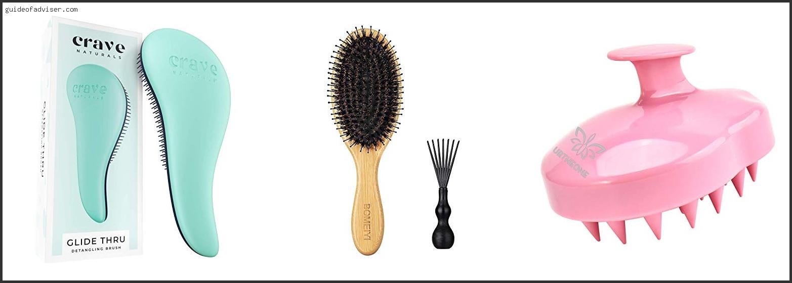 Top 10 Best Hair Brush For Oily Hair Of The Year Best Hair Brush For Oily Hair