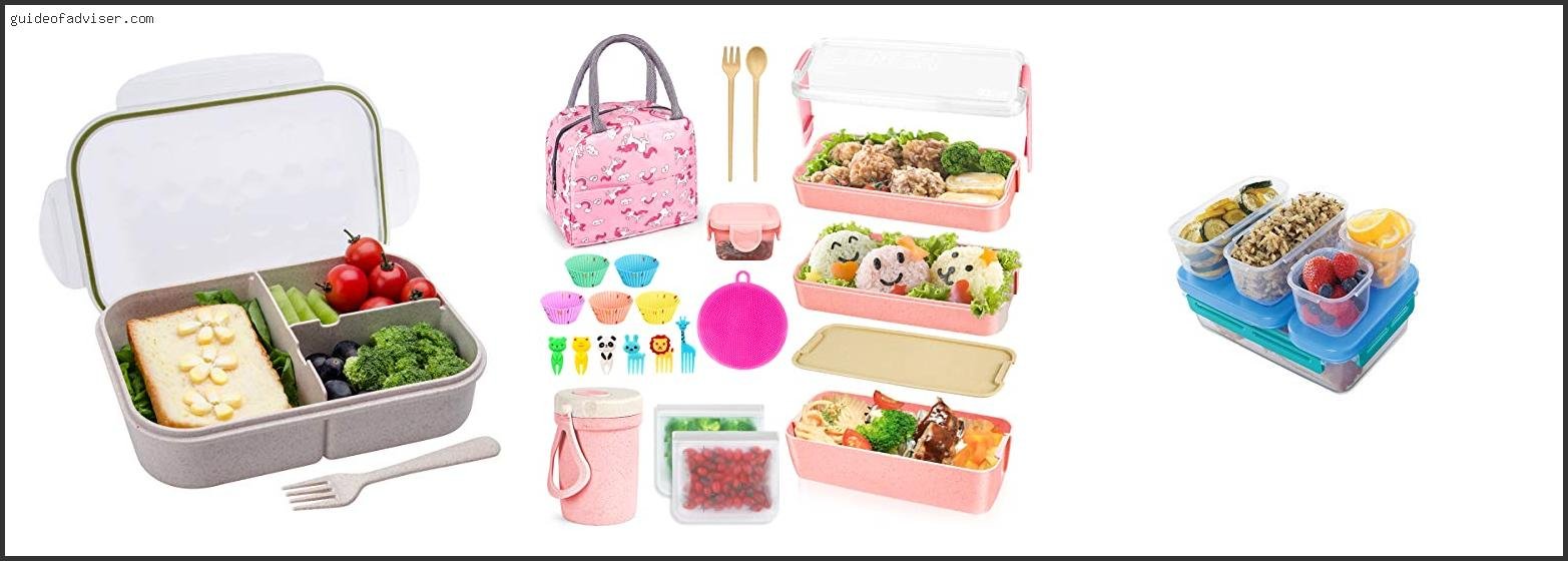 Top 10 Best Leak-proof Lunch Containers Of The Year Best Leak-proof Lunch Containers