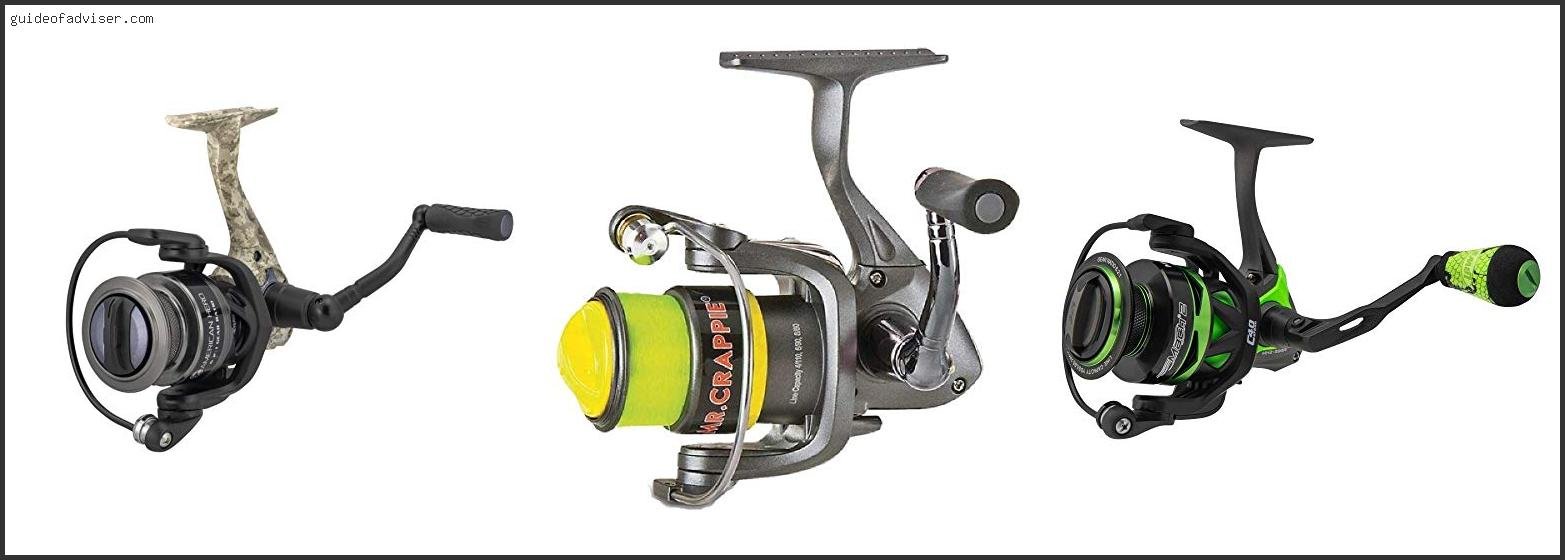 Best Lew's Spinning Reel