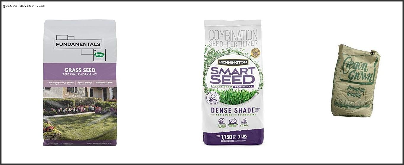 Top 10 Best Perennial Grass Seed Review & Buying Guide