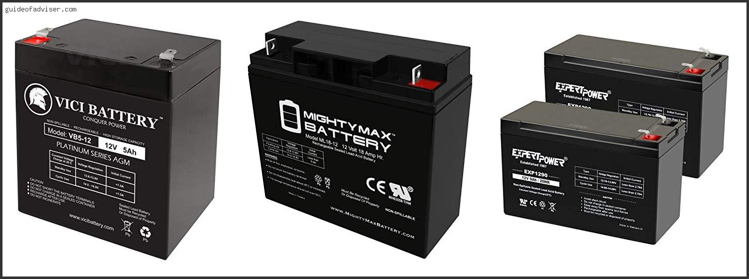 Top 10 Best Sealed Lead Acid Battery Review & Buying Guide