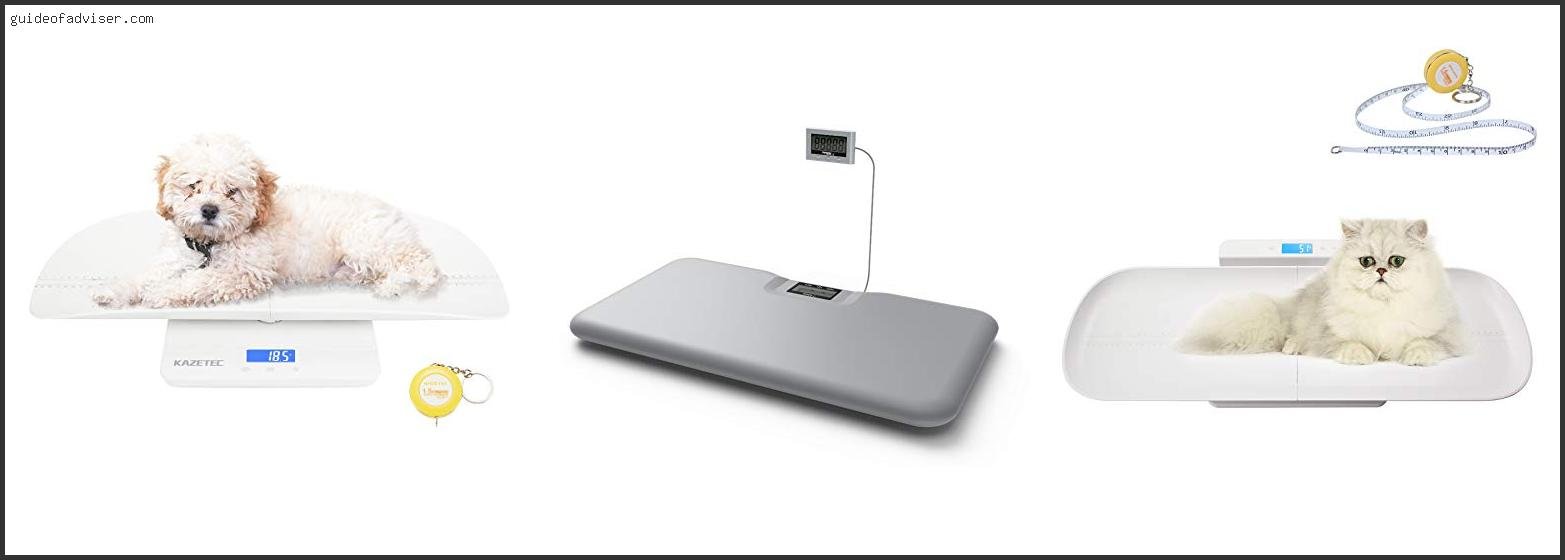 Top 10 Best Pet Scale Review & Buying Guide Best Pet Scale