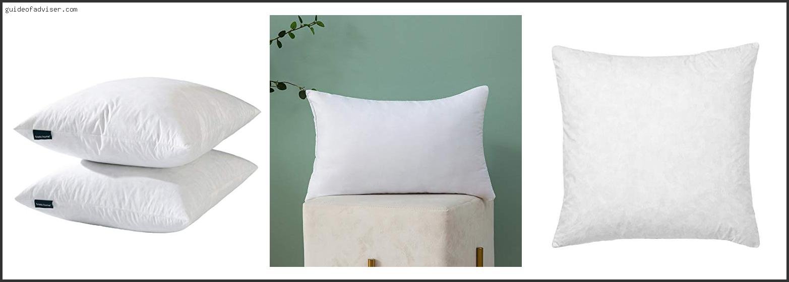 Top 10 Best Pillow Inserts For Shams Review & Buying Guide