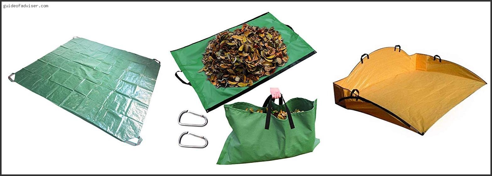 Best Size Tarp For Leaves