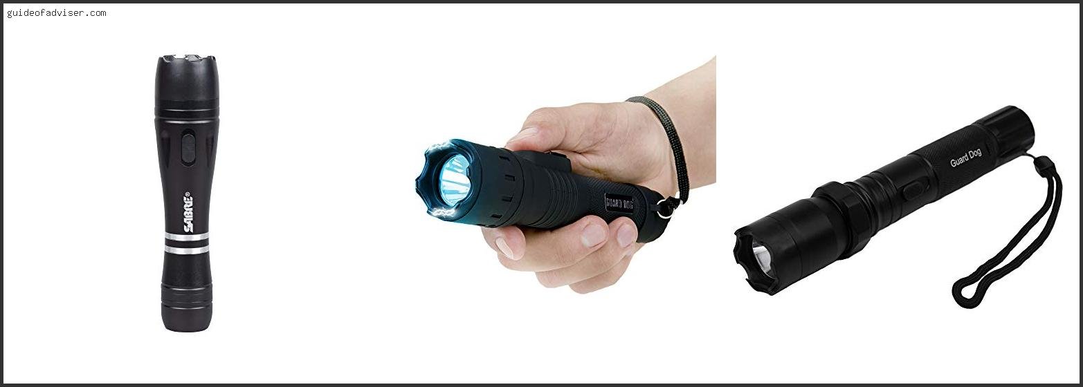 Top 10 Best Stun Gun For Dogs Of 2025 ( Updated ) Best Stun Gun For Dogs