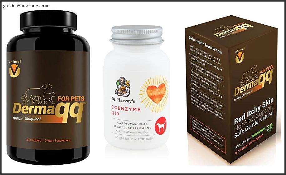 Best Ubiquinol For Dogs