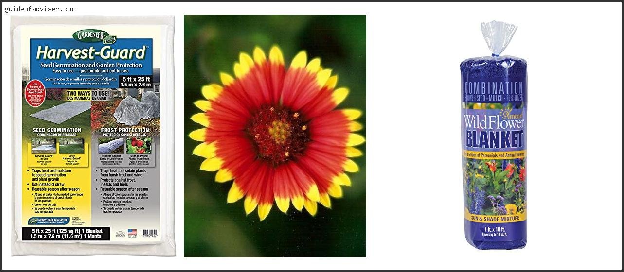 Top 10 Best Seed Blanket Of The Year