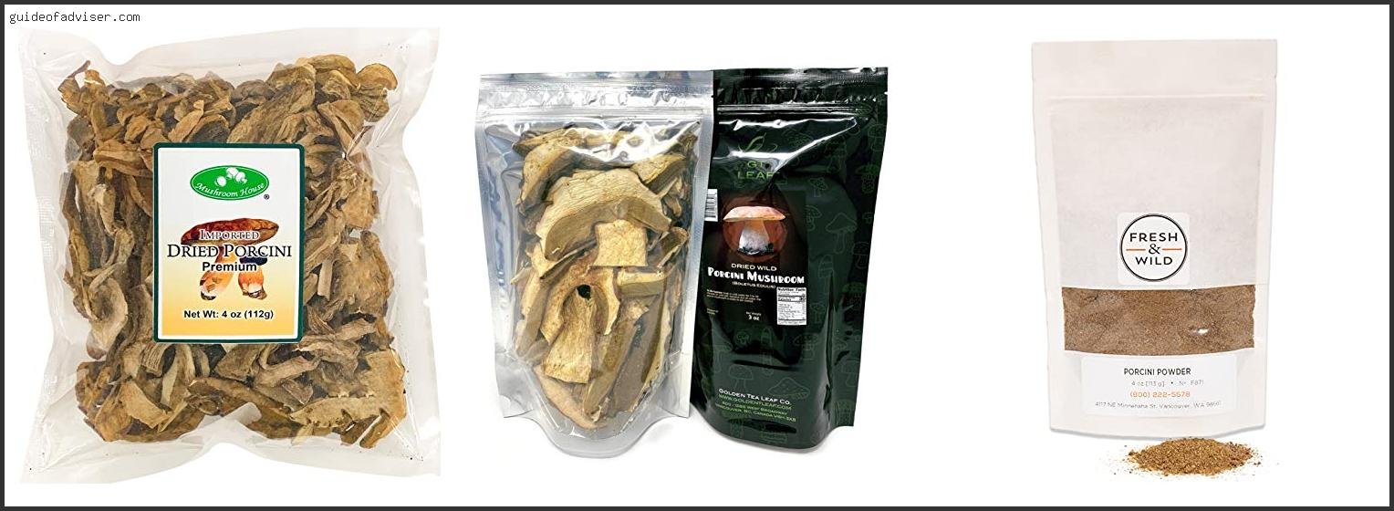 Best Dried Porcini Mushrooms