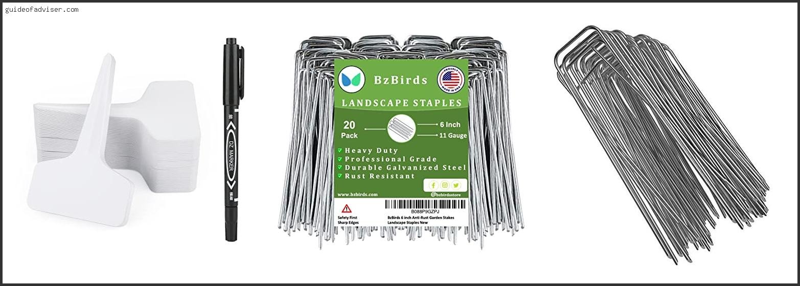 Top 10 Best Garden Stakes Of 2025 ( Updated ) Best Garden Stakes
