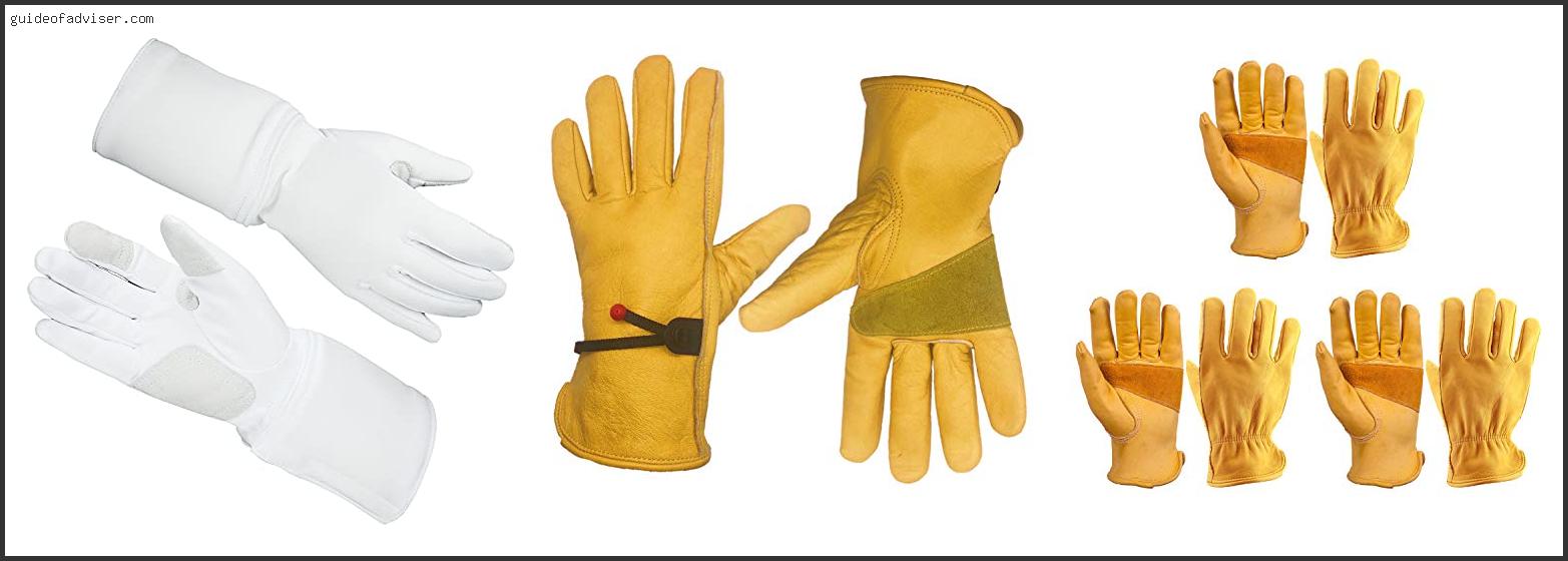 Top 10 Best Gloves For Fencing Of 2024 ( Updated )