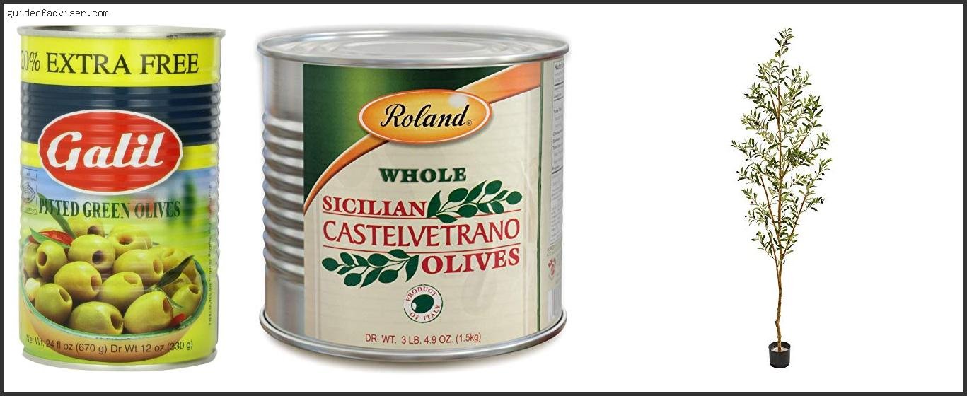 Best Green Olives