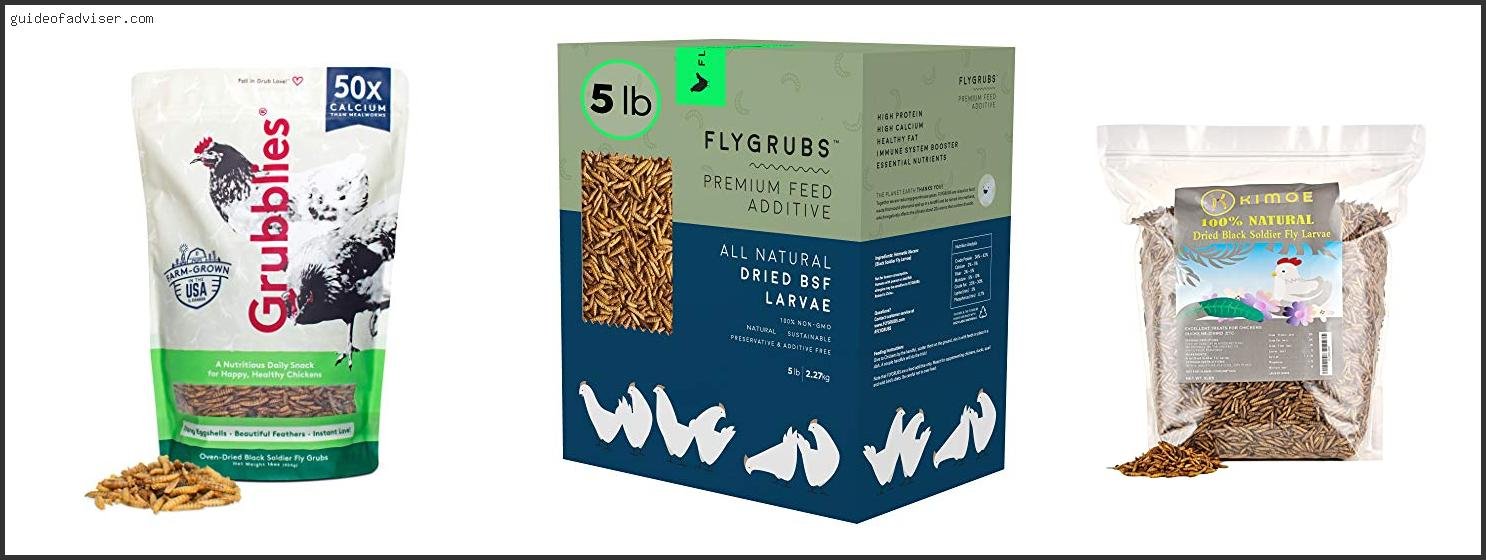 Top 10 Best Mealworms For Chickens Of 2025 ( Updated ) Best Mealworms For Chickens