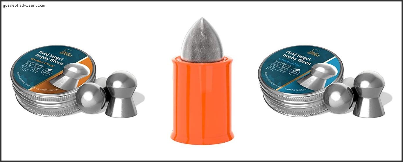 Top 10 Best Lead Free Pellets Of The Year