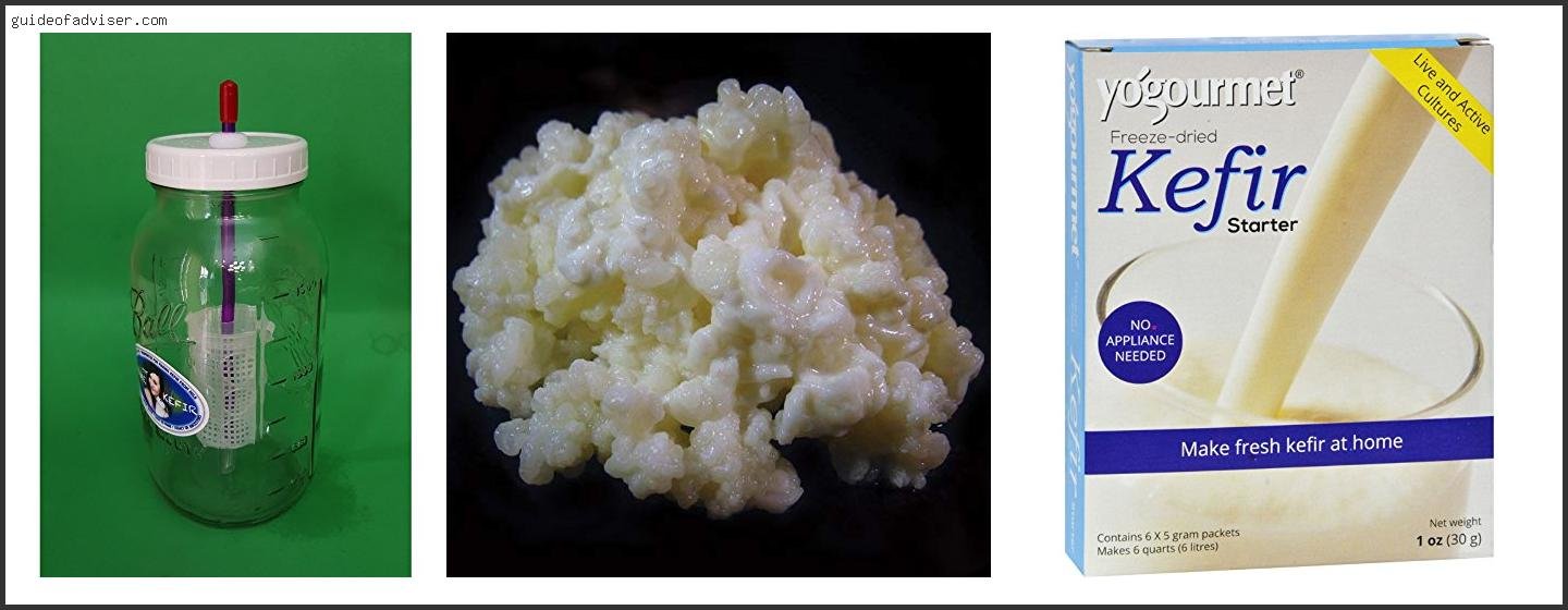 Top 10 Best Kefir Grains To Buy Of The Year Best Kefir Grains To Buy