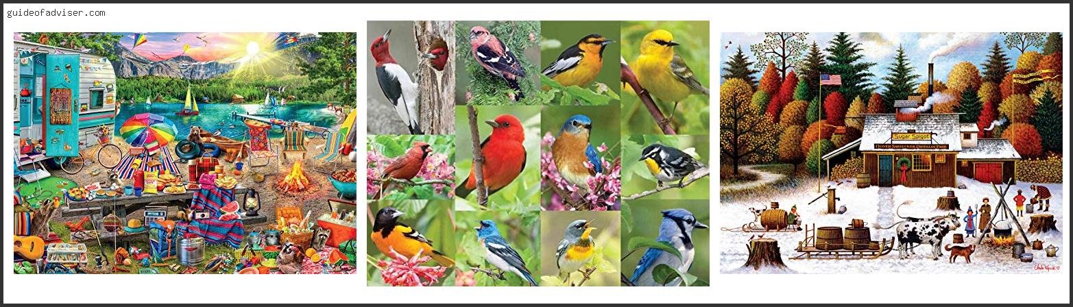 Top 10 Best 500 Piece Jigsaw Puzzles Of The Year